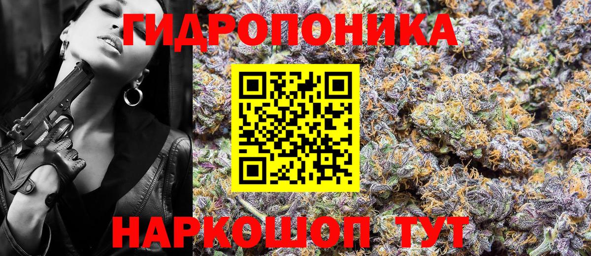 Ахтубинск  Бошки марихуана план  Марихуана OG Kush  Вход с VPN  Бошки марихуана AK-47 